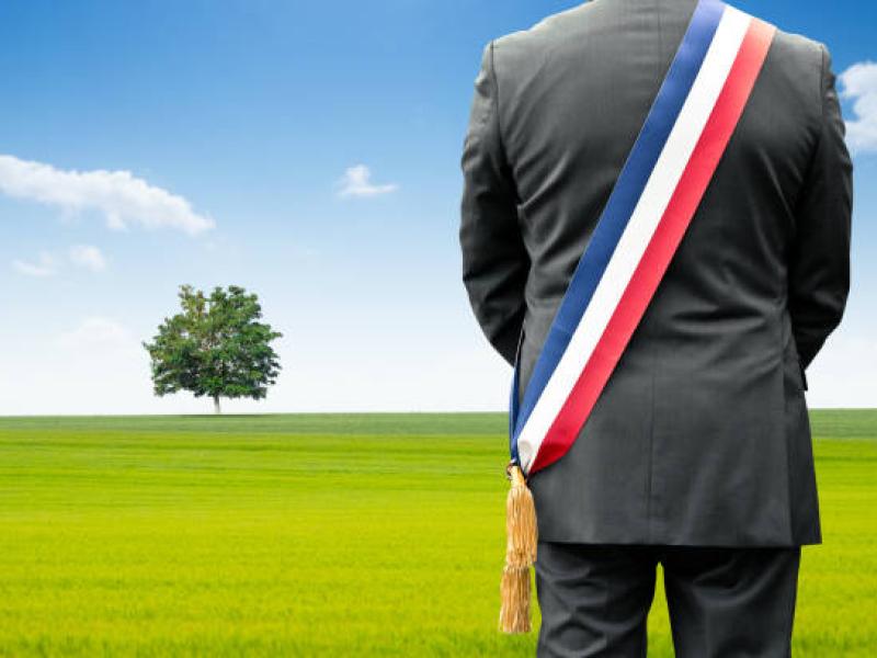 Procès verbaux (ex: Comptes rendus)