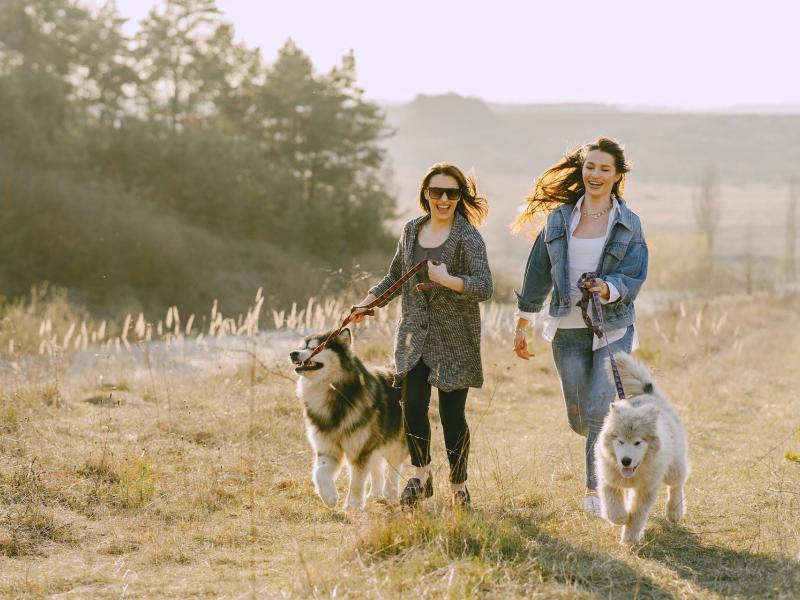 Nos amis les animaux !